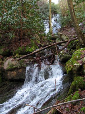 Upper Longarm Branch Falls
Taken on 3-12-2011
