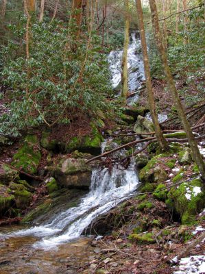 Upper Longarm Branch Falls
Taken on 3-12-2011
