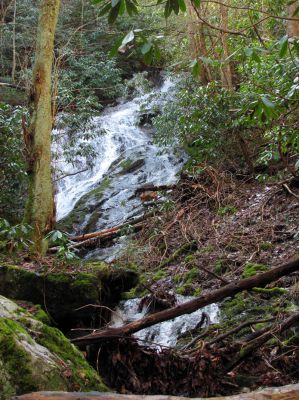 Upper Longarm Branch Falls
Taken on 3-12-2011
