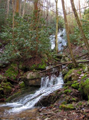 Upper Longarm Branch Falls
Taken on 3-12-2011

