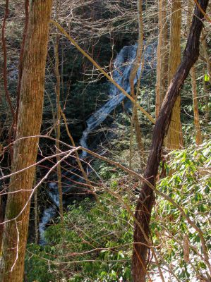 Upper Longarm Branch Falls
Taken on 3-12-2011
