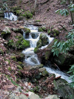 Upper Longarm Branch Falls
Lowest Part of falls where it crosses the road  - Taken on 3-12-2011
