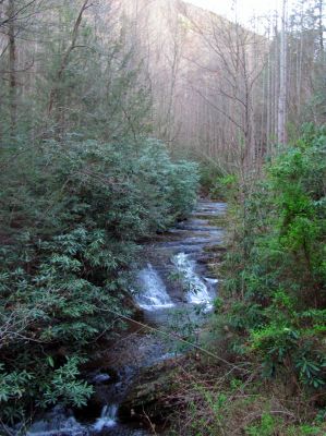 Lower Longarm Branch Falls
Taken 4-3-2011
