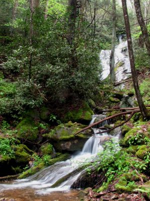 Taken April 25, 2012
