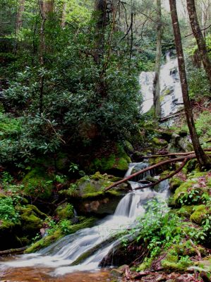 Taken April 25, 2012
