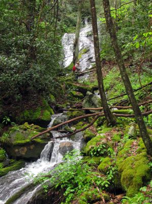 Taken April 25, 2012
