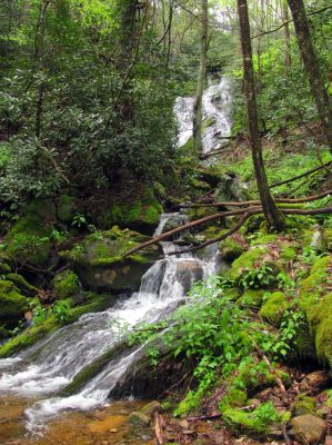 Taken April 25, 2012
