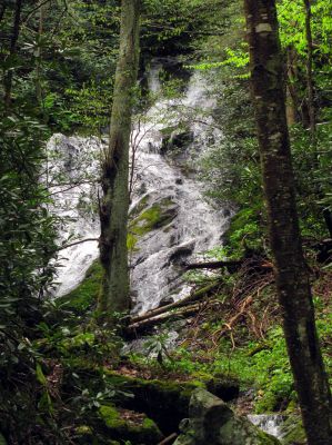 Taken April 25, 2012
