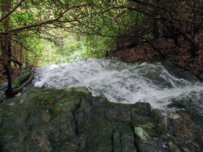 Taken April 25, 2012
