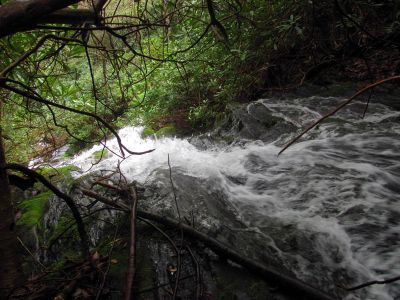 Taken April 25, 2012
