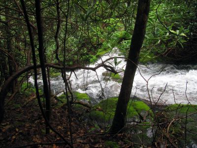 Taken April 25, 2012
