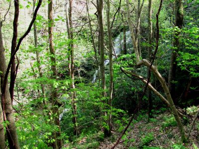 Taken April 25, 2012
