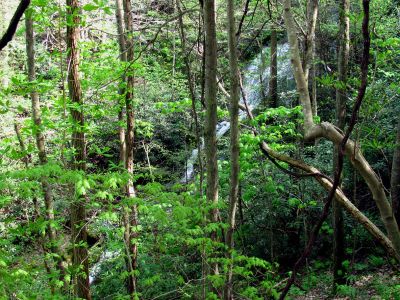 Taken April 25, 2012
