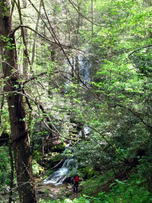 Taken April 25, 2012
