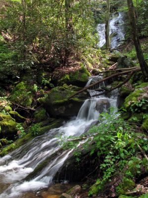 Taken April 25, 2012
