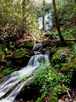 Taken April 25, 2012
