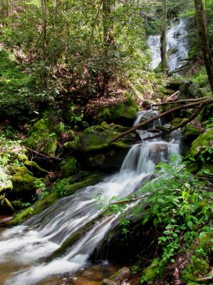 Taken April 25, 2012
