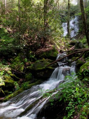 Taken April 25, 2012
