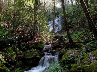 Taken April 25, 2012
