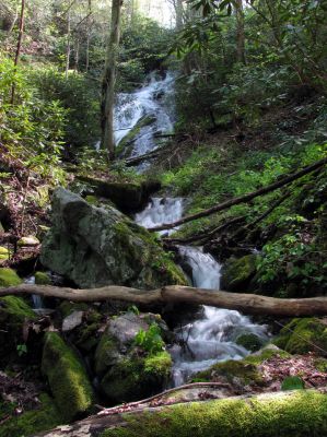 Taken April 25, 2012
