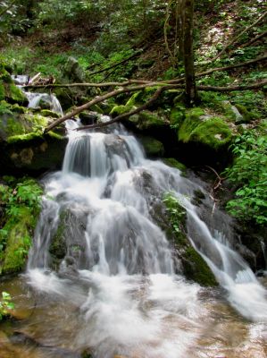 Taken April 25, 2012
