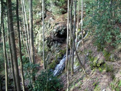 Sill Branch Falls upper
4-2009

