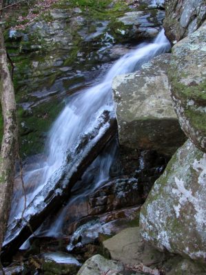 Taken 1-6-2012
