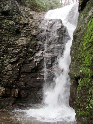 Rock Creek Falls (upper)
Taken 1-23-2010
