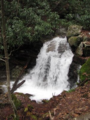 Small Falls along Rock Creek
Taken 1-23-2010
