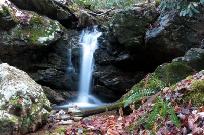 Small Falls located on South Fork of Sill Branch just before it converges with the North Fork - Taken 11-30-2013
