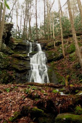 Upper Sill Branch Falls  Taken 12-15-2013
