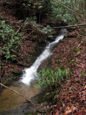 Small cascade along North Fork Sill Branch below the Upper Falls Taken 12-15-2013
