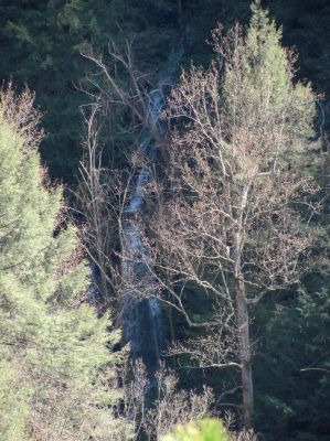 Sill Branch Falls (lower)
As seen from the Monkeyhead Rocks aka Sill Branch Overlook taken 3-19-2010
