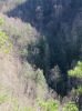 sill_br_falls18.jpg