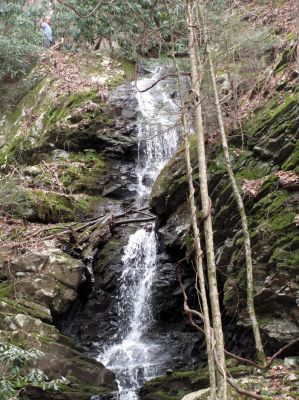 Simmons Branch Falls (upper)
Taken on 4-3-2010  (find Bol'dar) 
