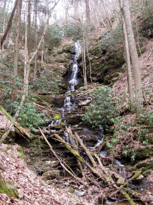 Simmons Branch Falls (upper)
Taken on 4-3-2010  (find Bol'dar) 
