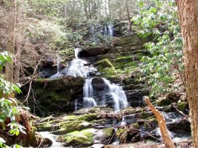 Simmons Branch Falls (middle)
Taken 4-3-2010
