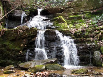 Simmons Branch Falls (middle)
Taken 4-3-2010
