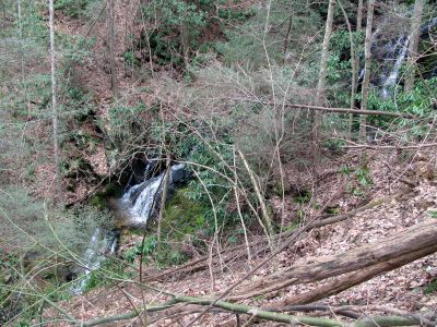 Simmons Branch Falls (middle)
Taken 4-3-2010
