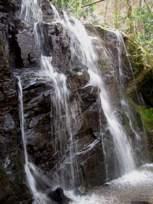 Simmons Branch falls (middle) 
Taken 4-3-2010
