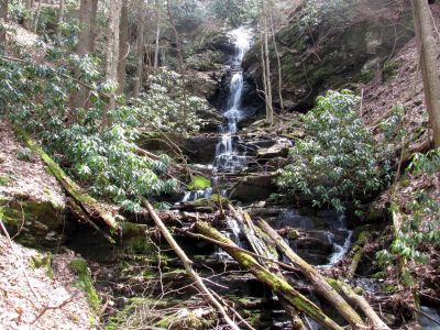 Simmons Branch Falls (upper) 
Taken 4-3-2010
