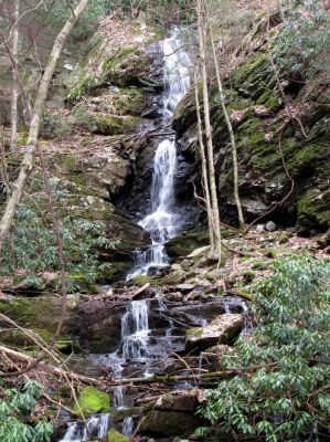 Simmons Branch Falls (upper) 
Taken 4-3-2010
