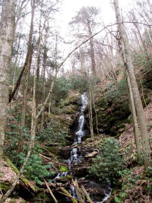 Simmons Branch Falls (upper) 
Taken 4-3-2010
