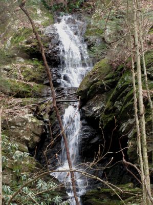 Simmons Branch Falls (upper) 
Taken 4-3-2010
