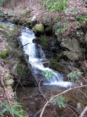 Small Falls (Clarks Creek)
Taken 4-2-2010
