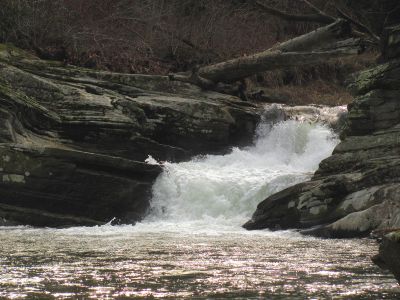Taken 1-10-2012
