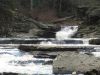 Filename=1885.jpg
Filesize=229KiB
Dimensions=1200x900
Date added=Feb 25, 2012 1885.jpg