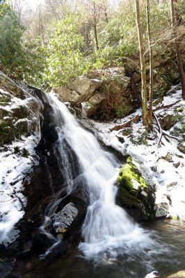 Taken 3-9-2013
