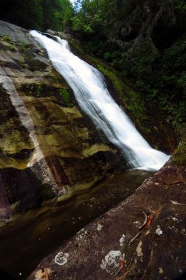 Taken 7-13-2016
