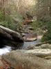 Filename=4900.jpg
Filesize=268KiB
Dimensions=800x1067
Date added=Dec 27, 2012 4900.jpg